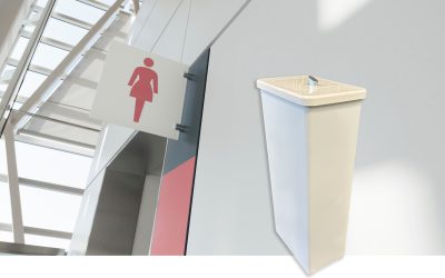 Intima