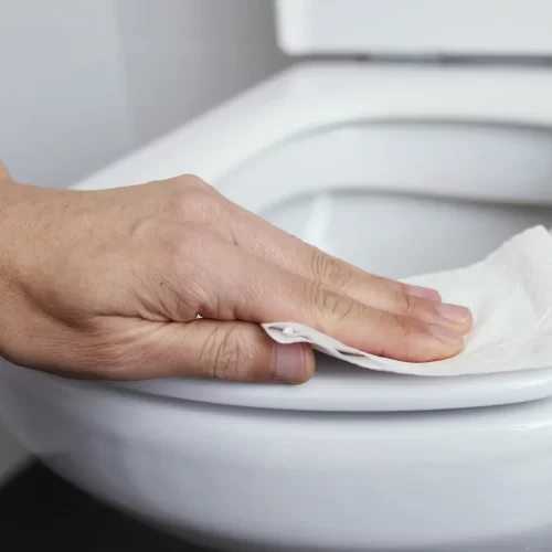Toilet Seat & Handle Cleaner