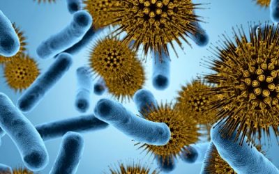 ¿Cuál es la diferencia entre bacteriostático y bactericida?